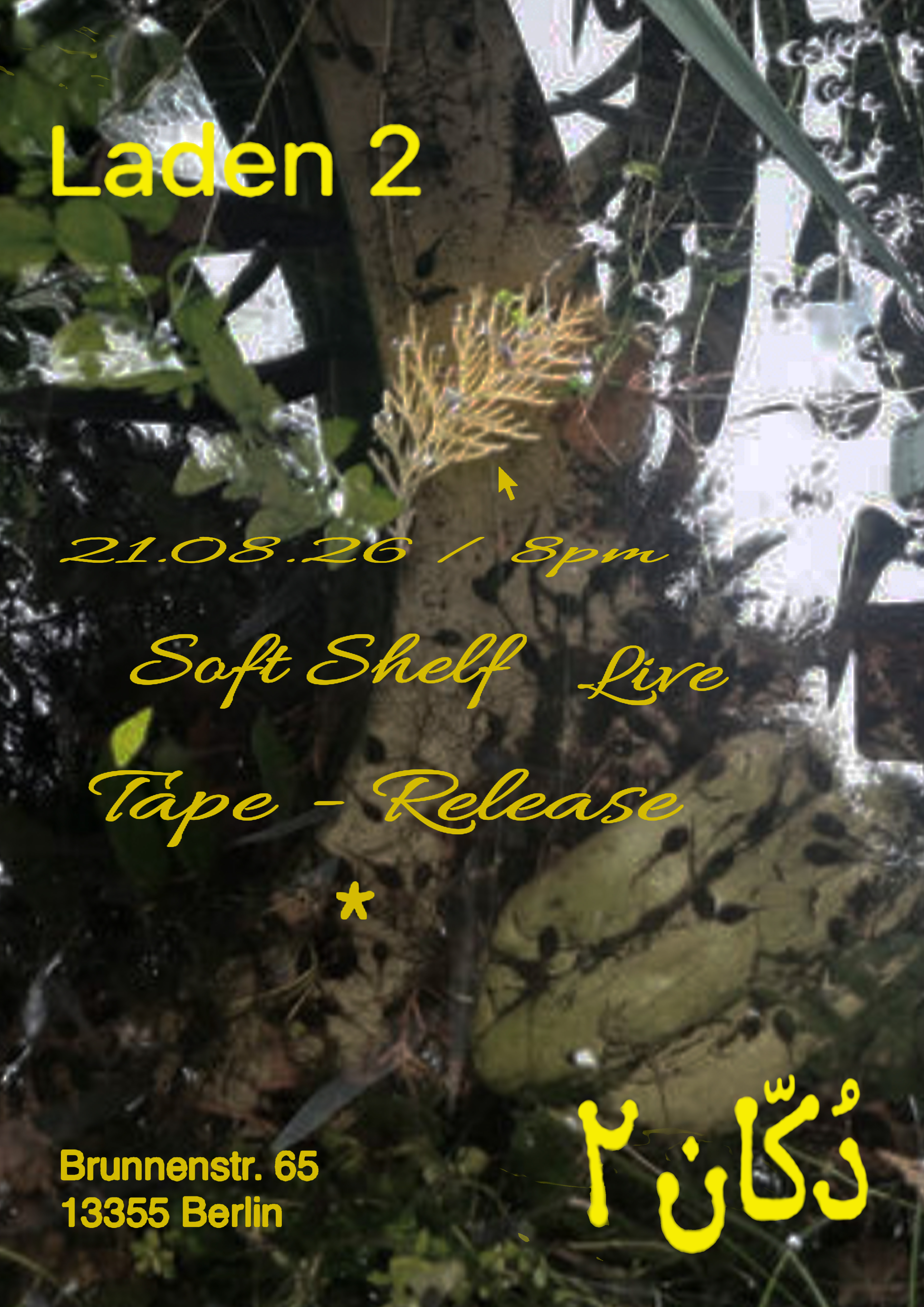 Soft Shelf tape release with Hiatus &mdash; August 21, 2026